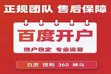 SEM代运营公司案例：优化策略揭秘